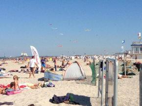 Seepferdchen Warnemünde, Warnemünde